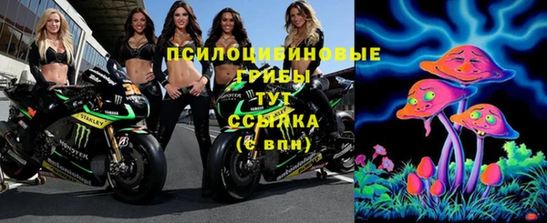 таблы Горняк