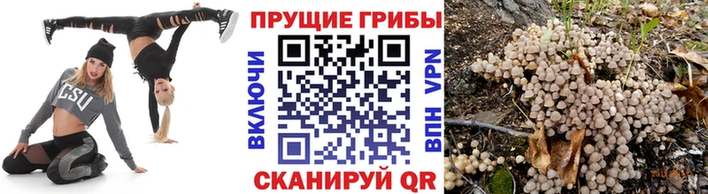 Галлюциногенные грибы мицелий Борисоглебск